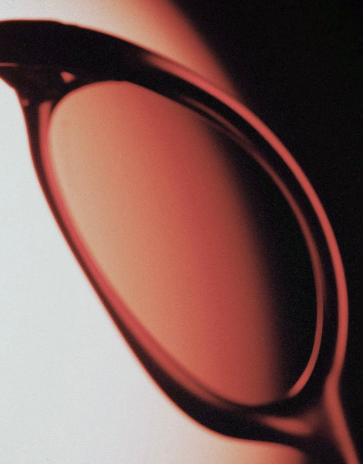 Rodman Shades - Tortoise