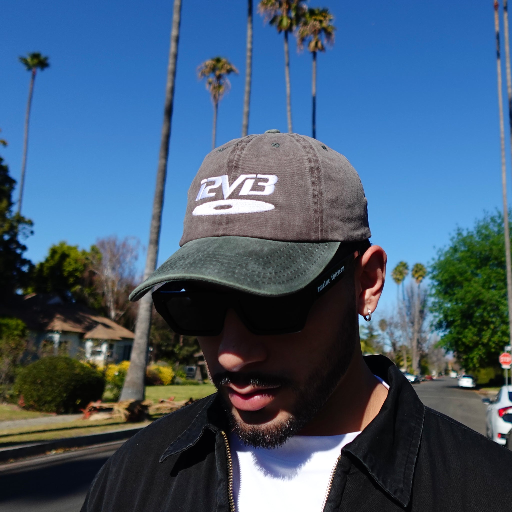 Disc Dad Hat- Washed Brwn/Grn