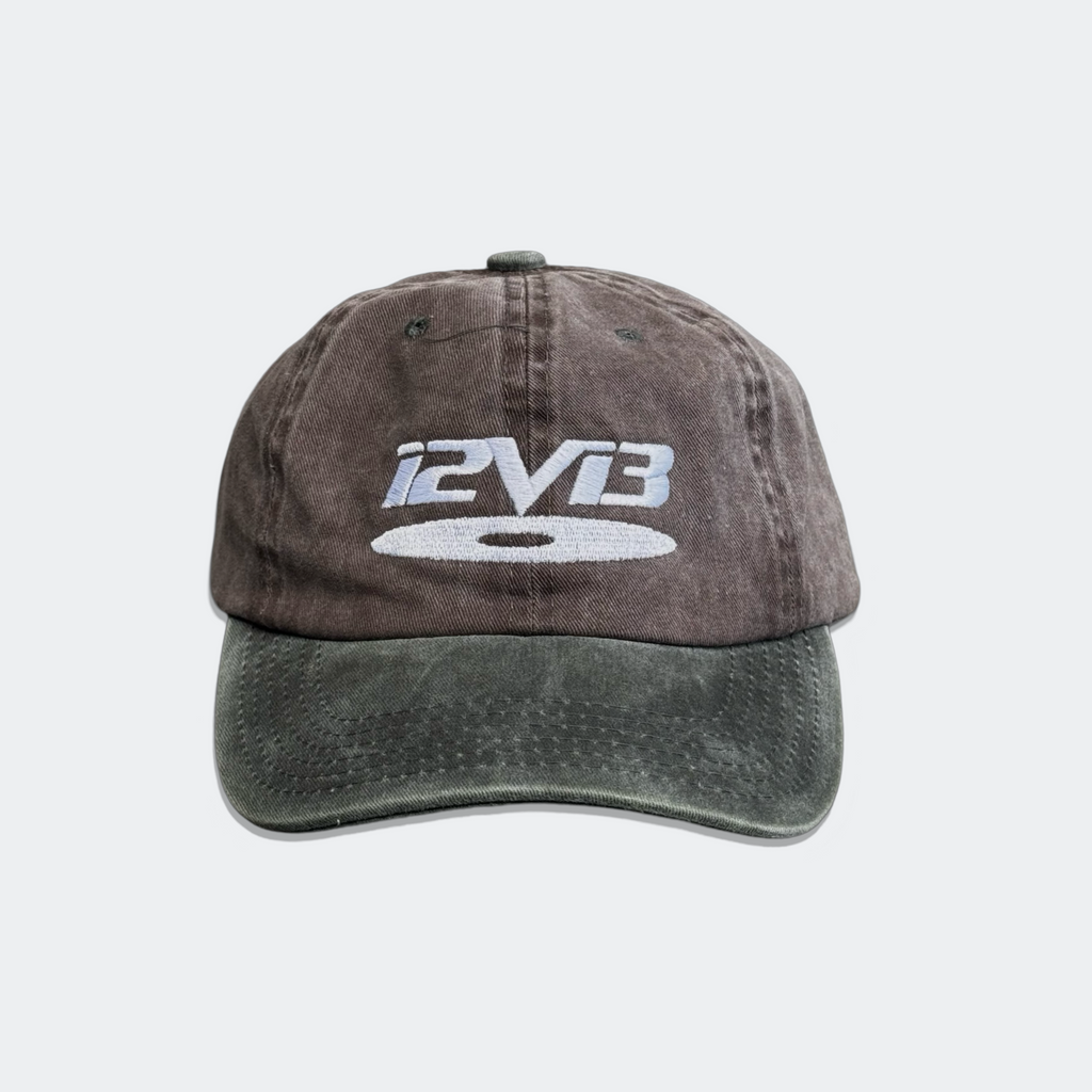 Disc Dad Hat- Washed Brwn/Grn